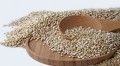 Quinoa