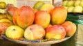 Afrikanische Mango
