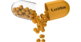 Lecithin